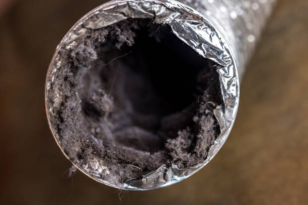 Best Emergency Air Duct Cleaning  in Johnson City, TX
