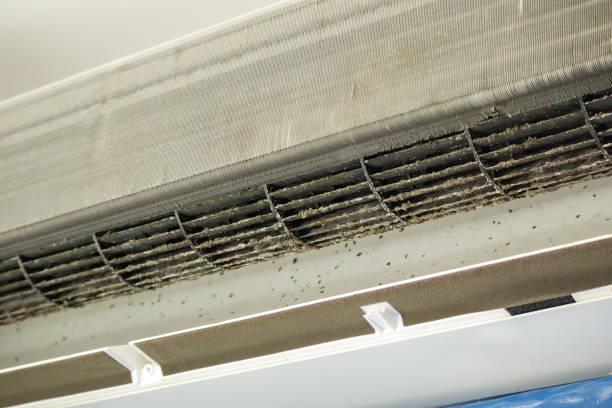 Best HVAC Duct Inspection Services  in Johnson City, TX
